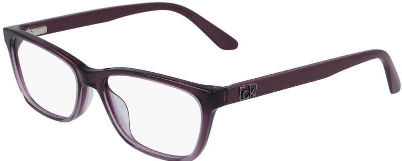 Calvin Klein CK 20530 Brille lila